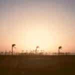 1aee4afe 16ef 39da 9725 1c2ea8185e85