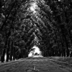 279af6d5 6296 3b80 87d0 98bbf226d4ea